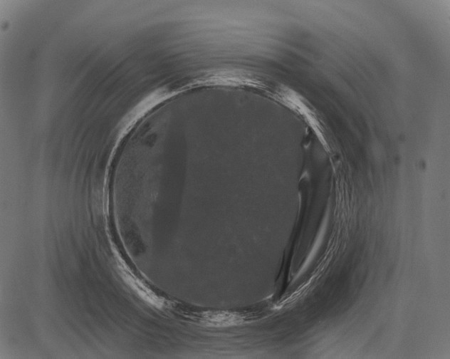 X0000084520795200703091601