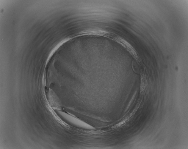 X0000084520796200703091601