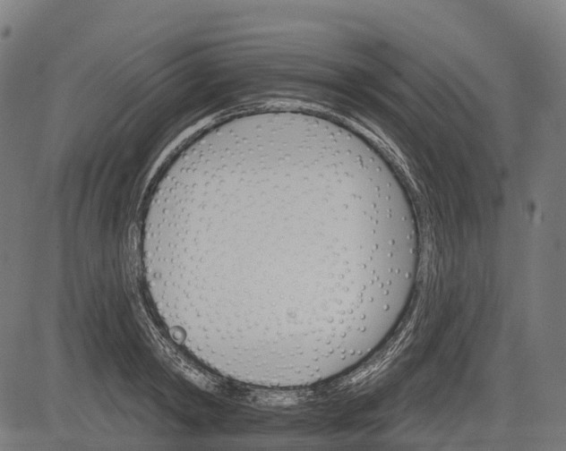 X0000084520798200703091601