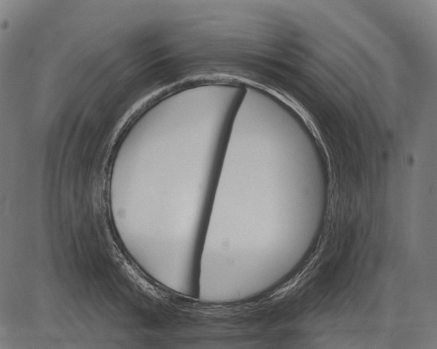 X0000084520799200703091600