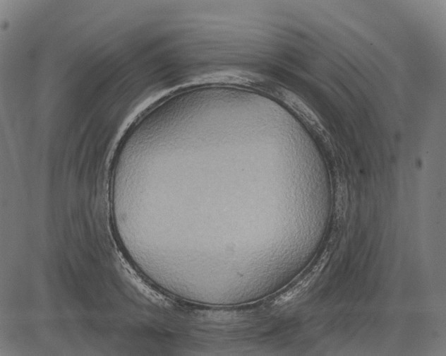 X0000084520800200703091600