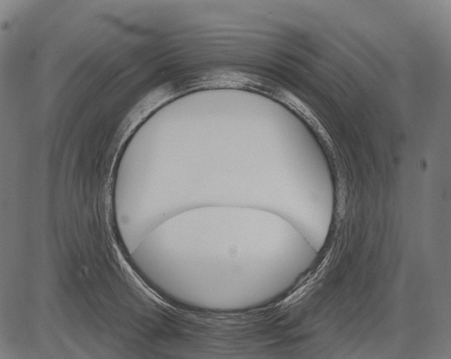 X0000084520802200703091600