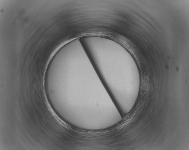 X0000084520803200703091600