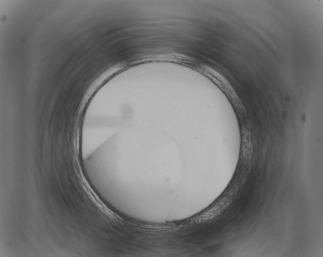 X0000084520804200703091600