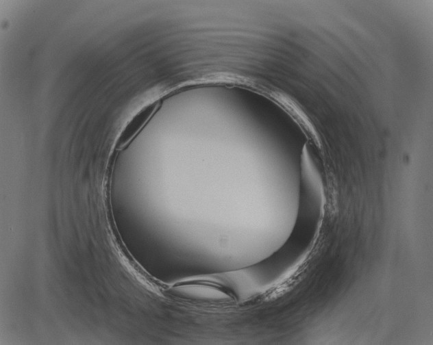 X0000084520805200703091600