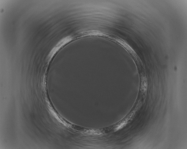 X0000084520806200703091600