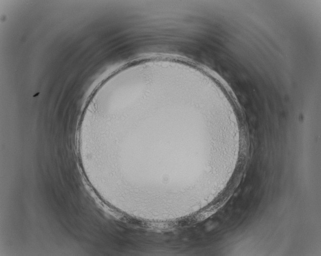 X0000084520807200703091600