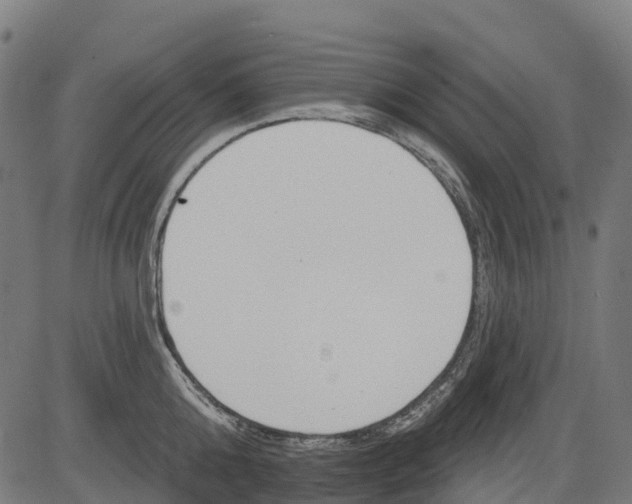 X0000084520808200703091600