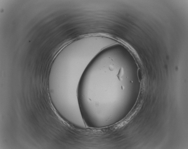 X0000084520809200703091600