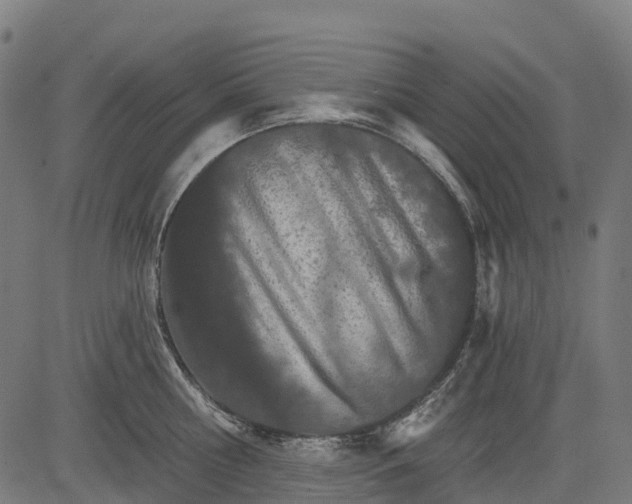 X0000084520810200703091600