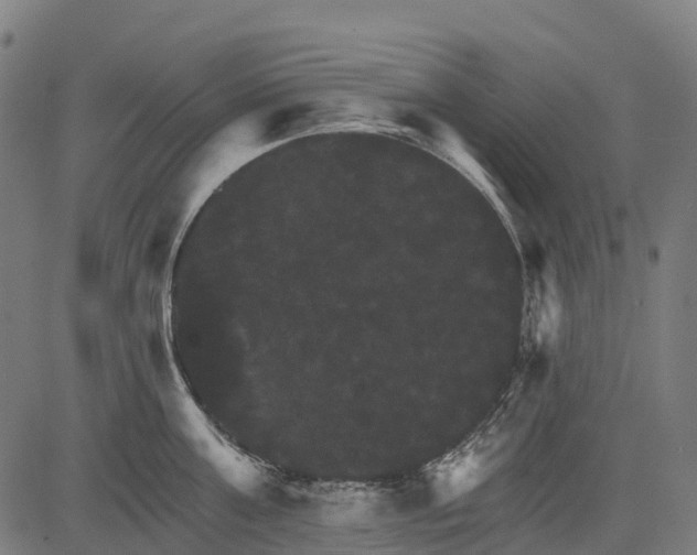 X0000084520811200703091600