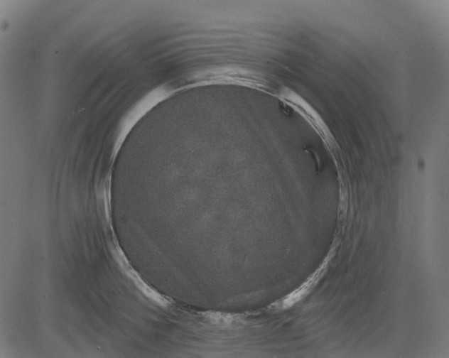 X0000084520812200703091600