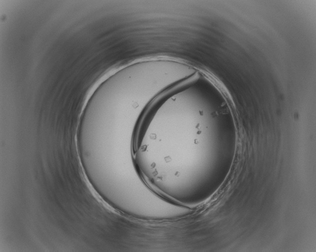 X0000084520813200703091600