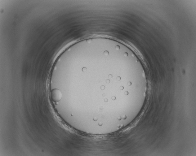 X0000084520814200703091600