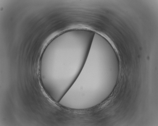 X0000084520815200703091600