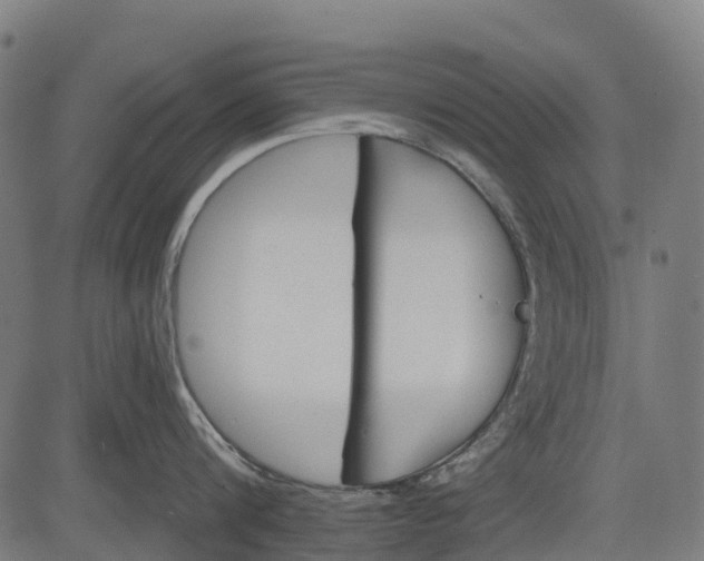 X0000084520816200703091600