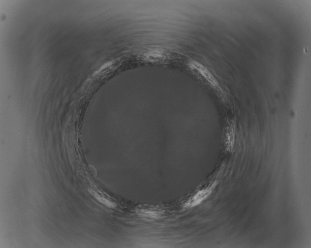 X0000084520817200703091559