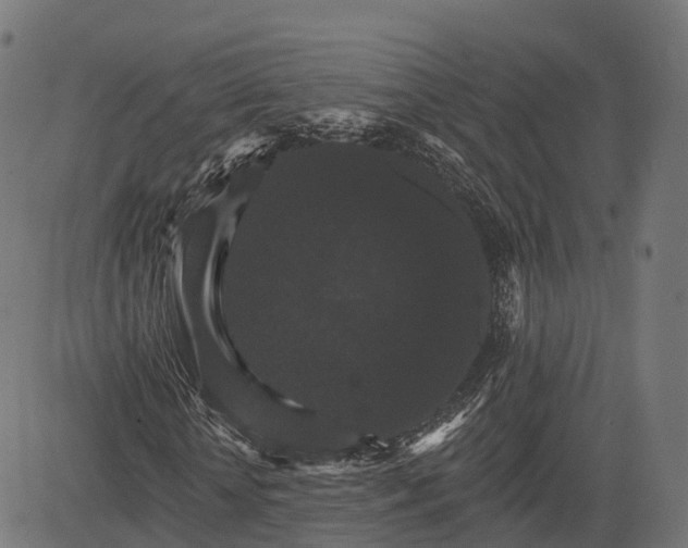 X0000084520818200703091559