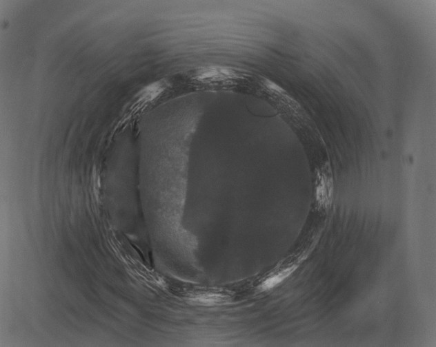 X0000084520819200703091559