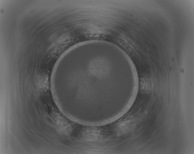 X0000084520820200703091559