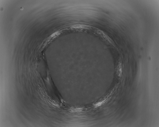 X0000084520821200703091559