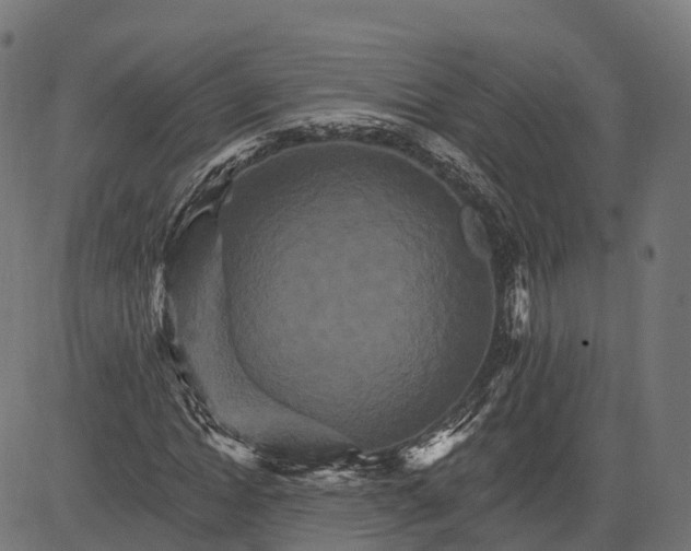 X0000084520822200703091559