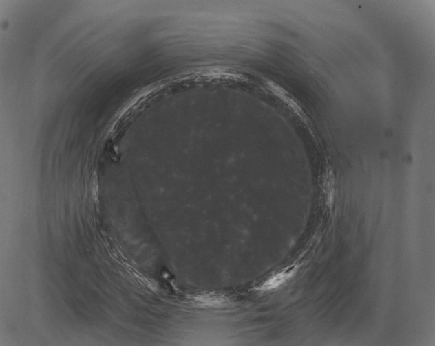 X0000084520823200703091559