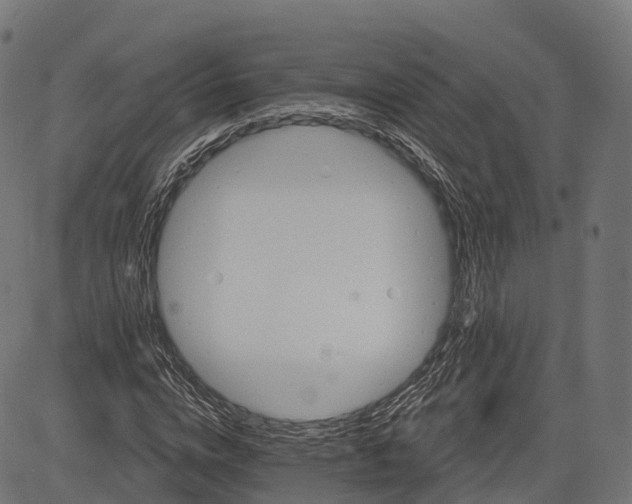 X0000084520824200703091559