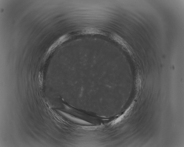 X0000084520825200703091559