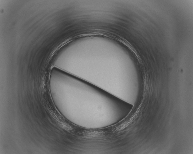 X0000084520826200703091559