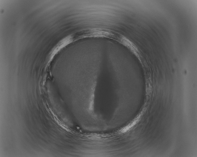 X0000084520827200703091559