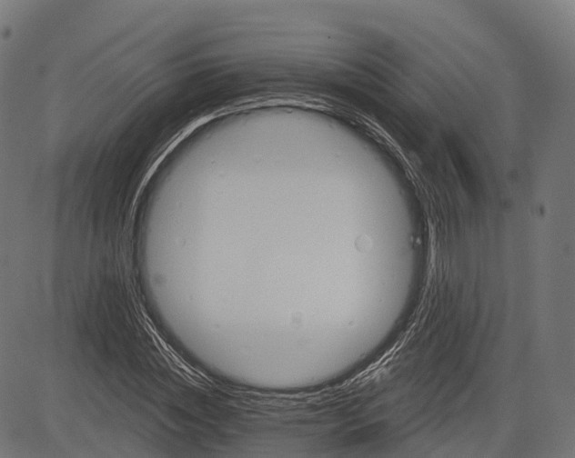 X0000084520828200703091600