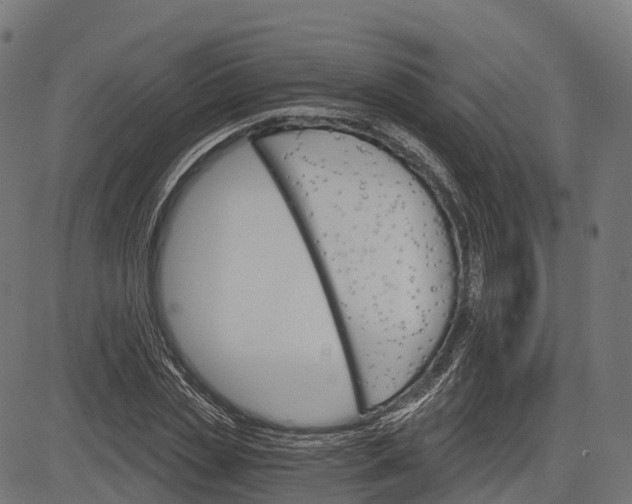 X0000084520829200703091600