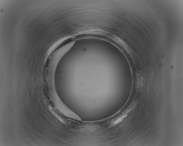 X0000084520830200703091600