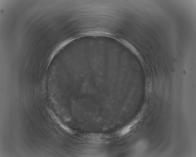 X0000084520831200703091600