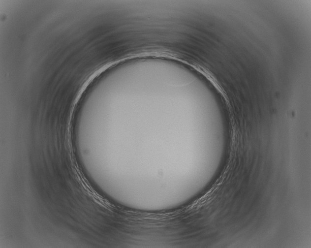 X0000084520832200703091600