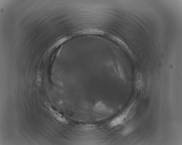 X0000084520833200703091600