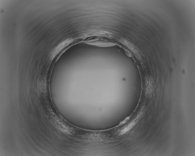 X0000084520834200703091600