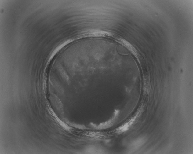 X0000084520835200703091600