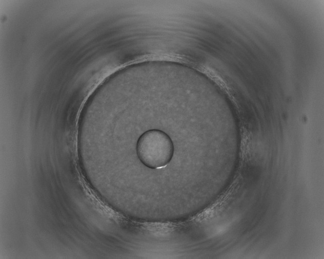 X0000084520836200703091600