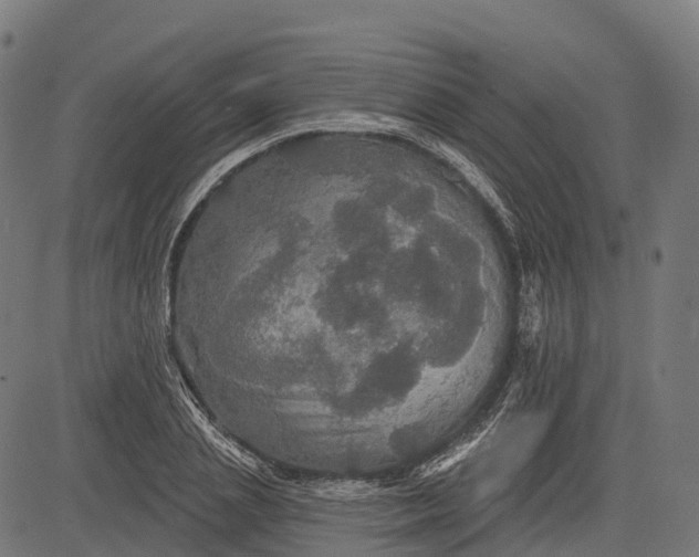 X0000084520837200703091600