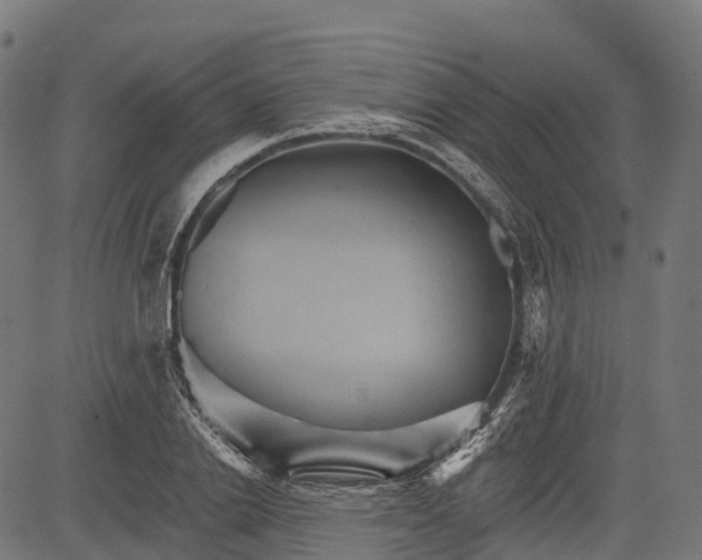 X0000084520838200703091600