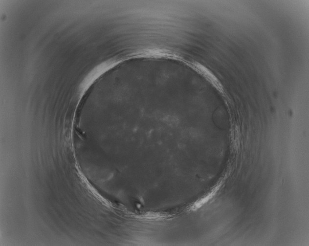 X0000084520839200703091600