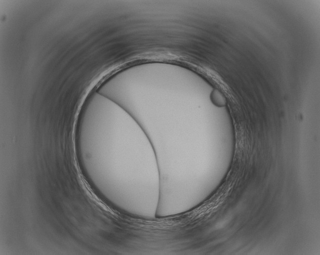 X0000084520840200703091600