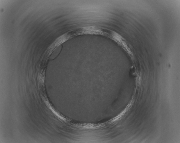 X0000084520841200703091600