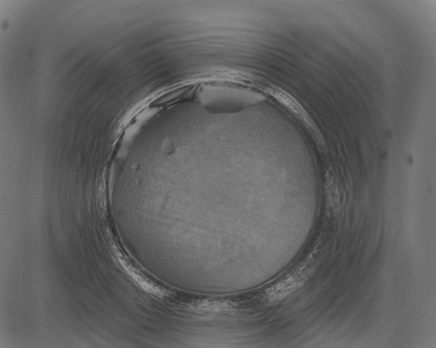 X0000084520842200703091600