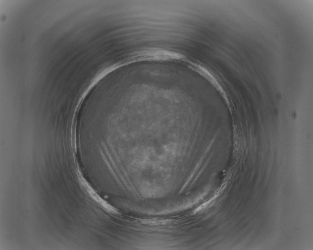 X0000084520843200703091600