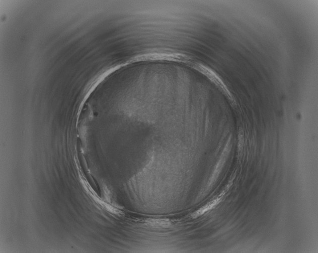 X0000084520844200703091600