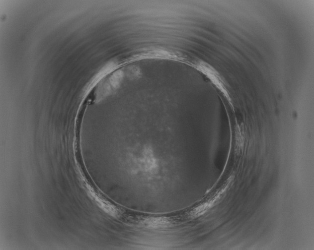 X0000084520845200703091600