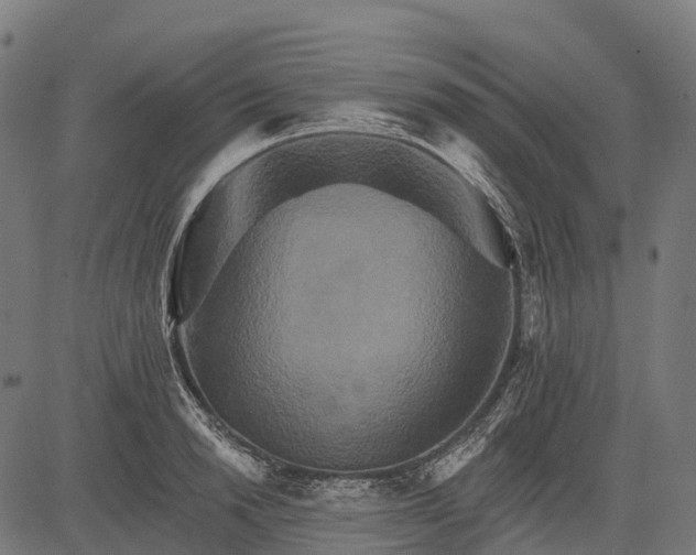 X0000084520846200703091600